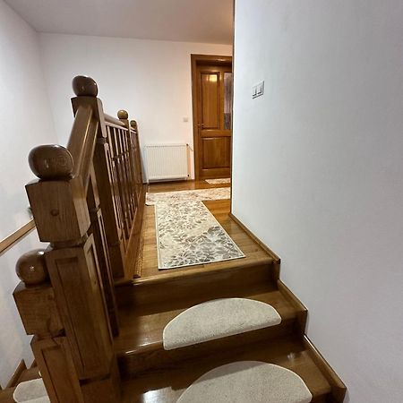 ホテル Casa Dacului Petrova エクステリア 写真