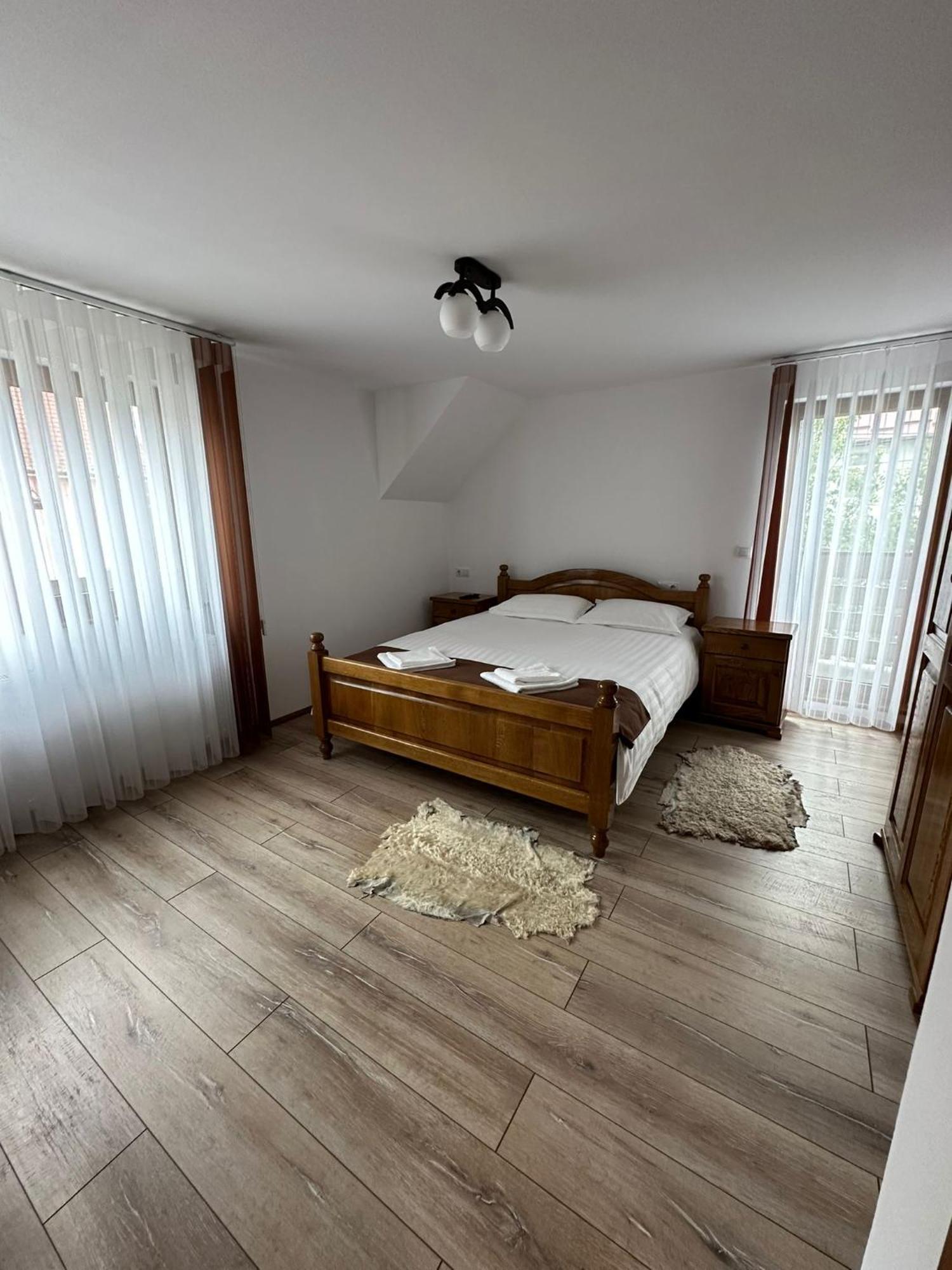 ホテル Casa Dacului Petrova エクステリア 写真
