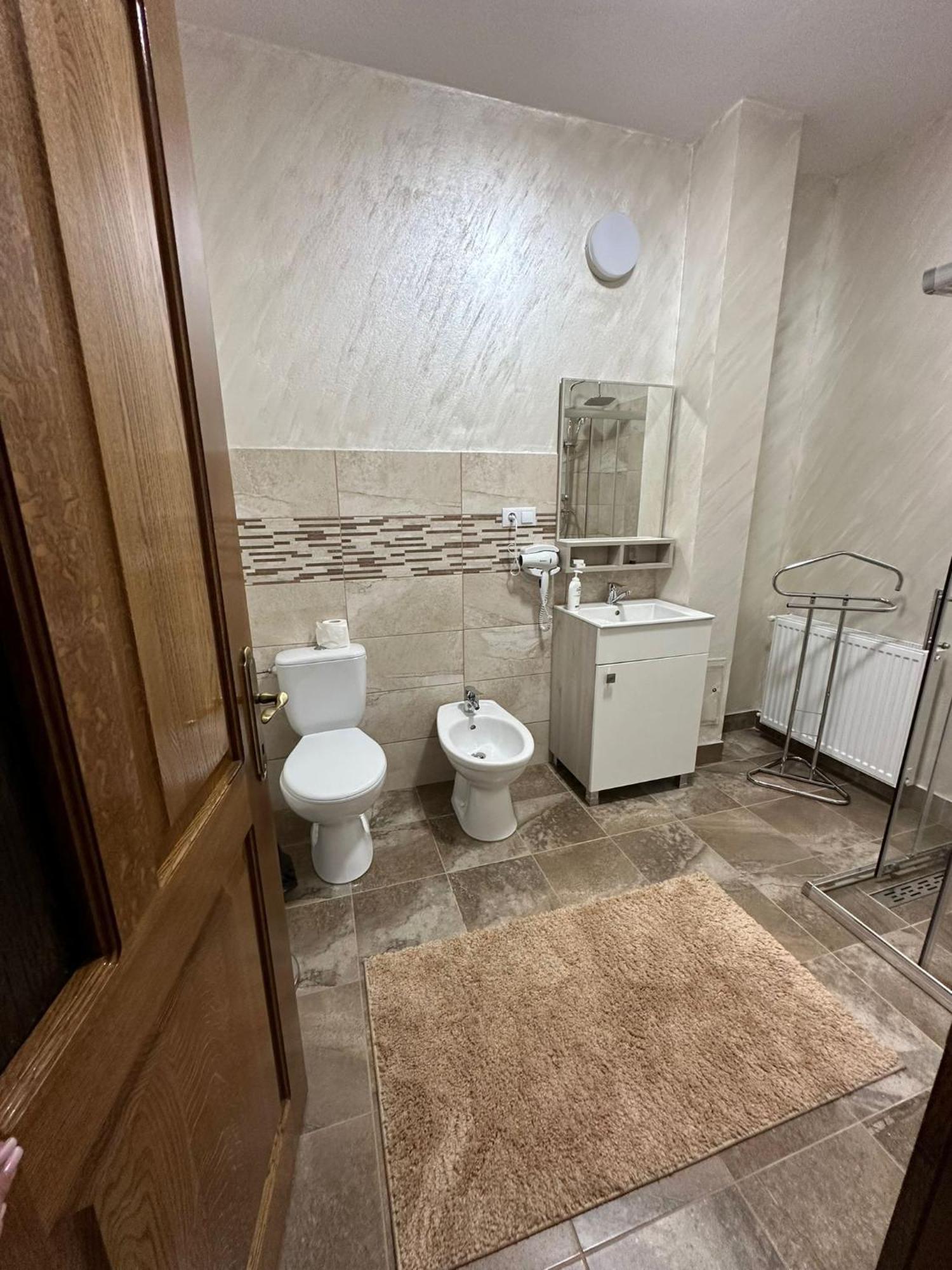 ホテル Casa Dacului Petrova エクステリア 写真